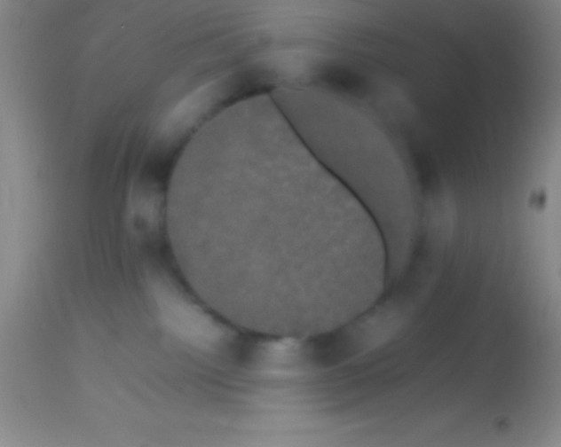 X0000113850092200910151222