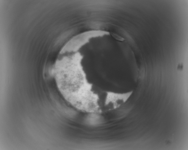 X0000113850095200910151222