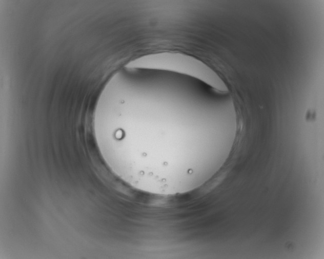 X0000113850096200910151222