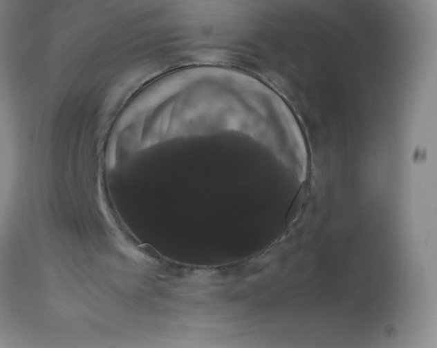 X0000113850097200910151222