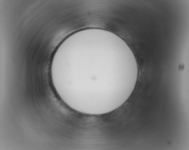 X0000113850098200910151222