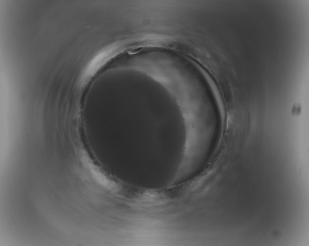 X0000113850101200910151222