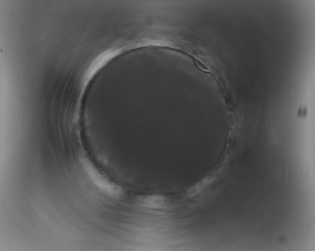 X0000113850104200910151222