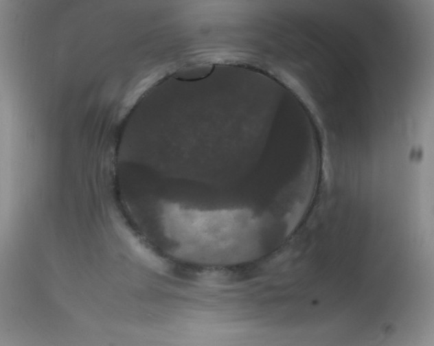 X0000113850105200910151222