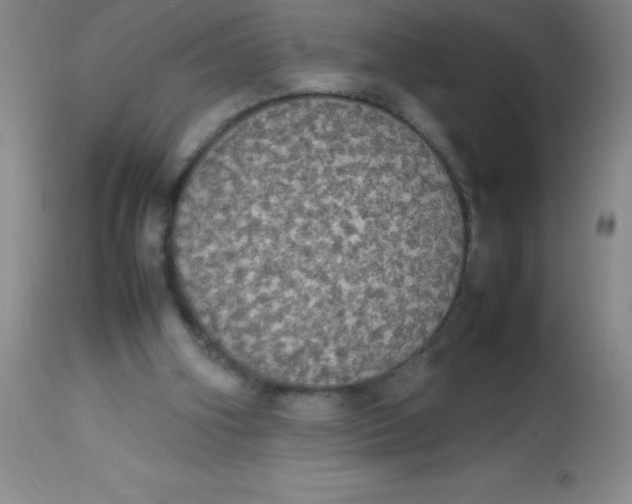 X0000113850106200910151222