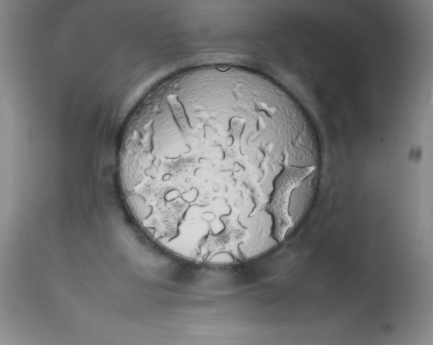 X0000113850107200910151222