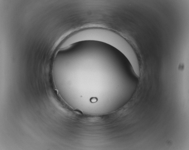 X0000113850108200910151222