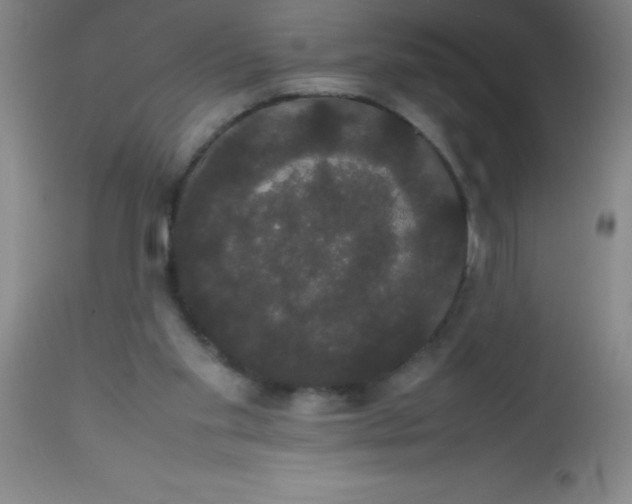 X0000113850109200910151222