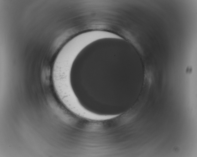 X0000113850110200910151222