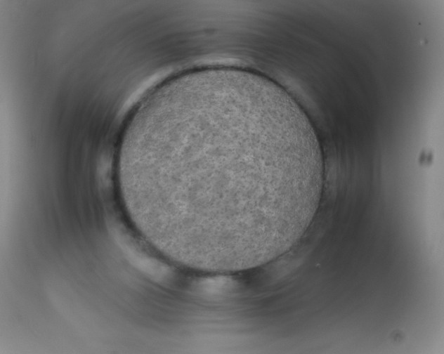 X0000113850112200910151222