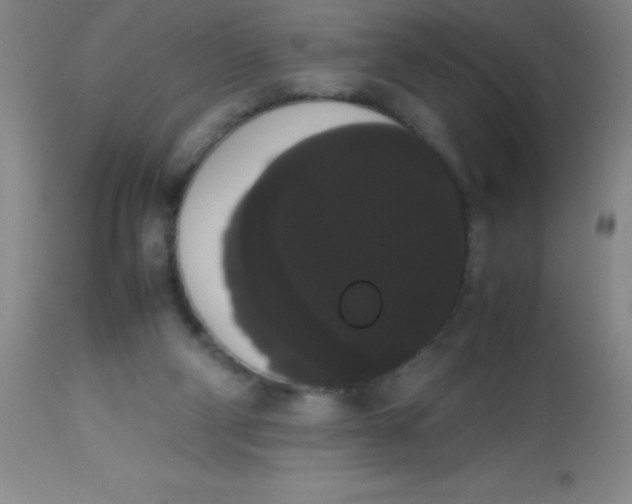 X0000113850114200910151221