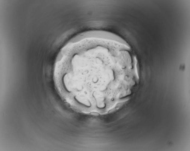 X0000113850115200910151221