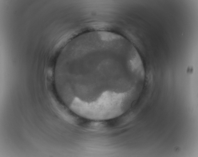 X0000113850117200910151221