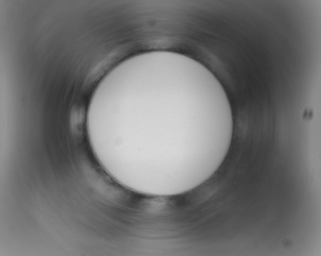 X0000113850118200910151221