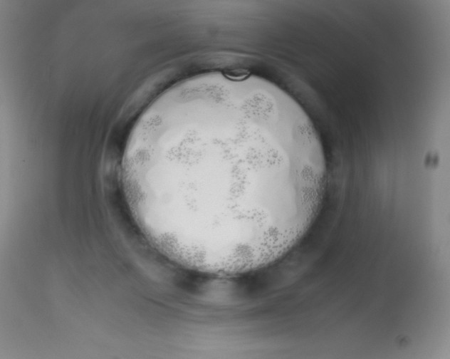 X0000113850119200910151221