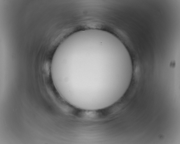 X0000113850121200910151221