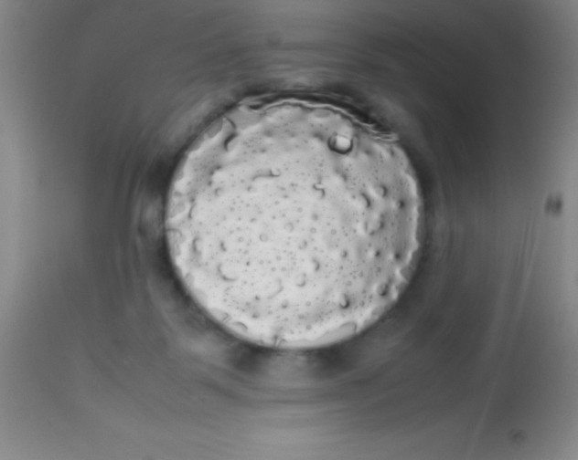 X0000113850123200910151221