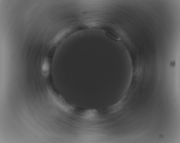 X0000113850124200910151221