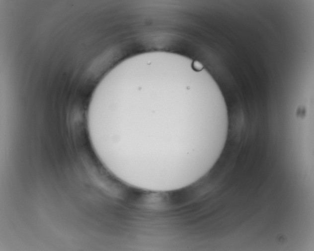 X0000113850126200910151221