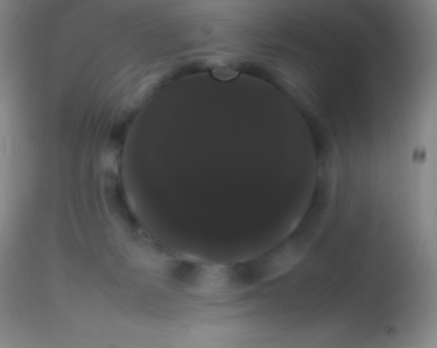 X0000113850127200910151221