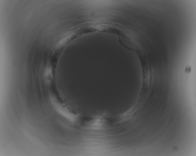 X0000113850128200910151221