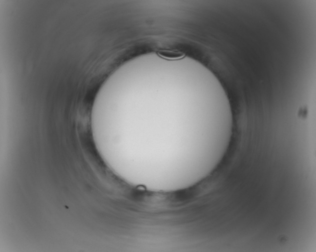 X0000113850129200910151221