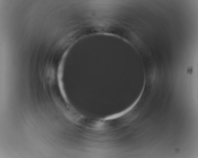 X0000113850130200910151221