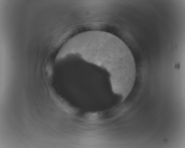 X0000113850131200910151221