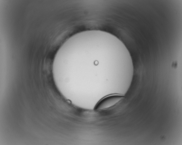 X0000113850133200910151221