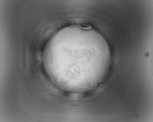 X0000113850135200910151221