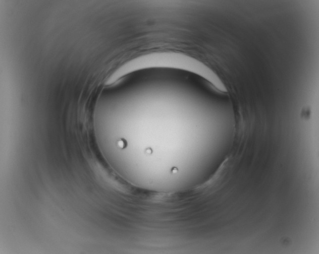 X0000113850136200910151221