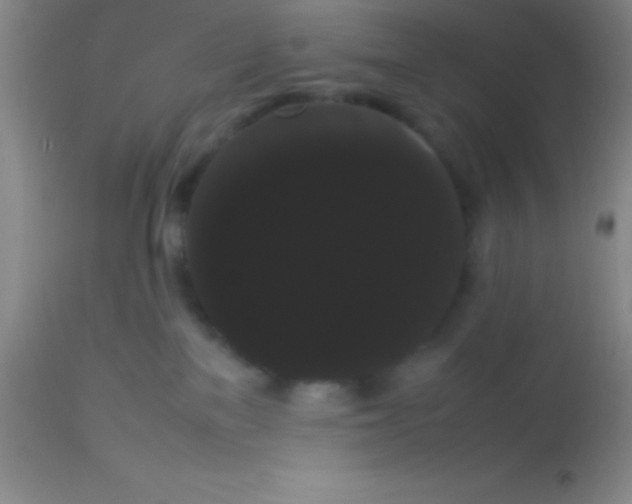 X0000113850137200910151221