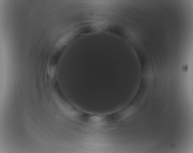 X0000113850139200910151221