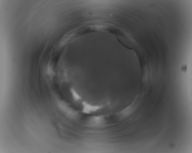 X0000113850140200910151221