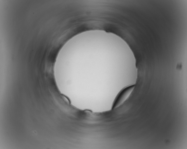 X0000113850141200910151221