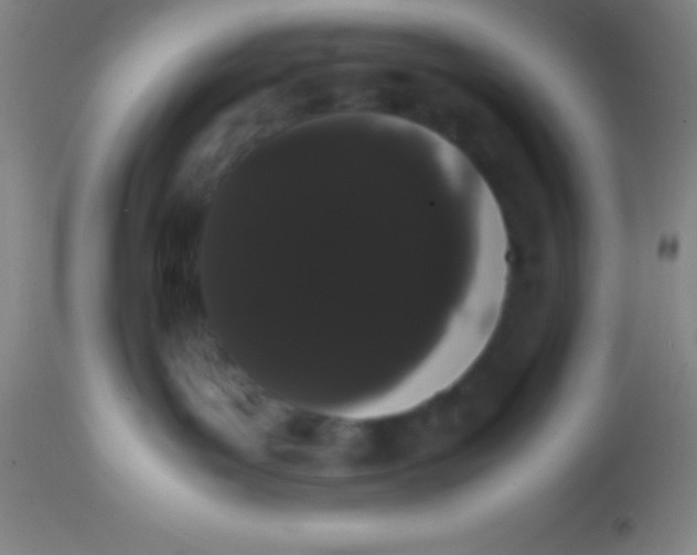 X0000113850143200910151221