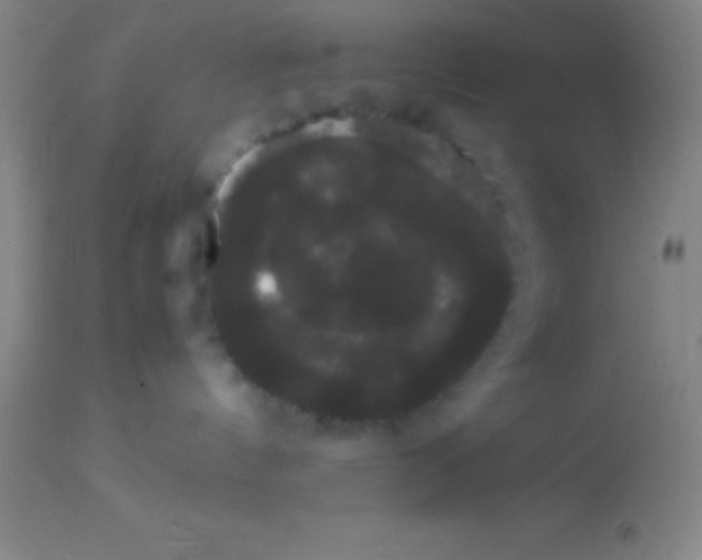 X0000113850144200910151221