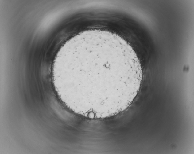 X0000113850146200910151220