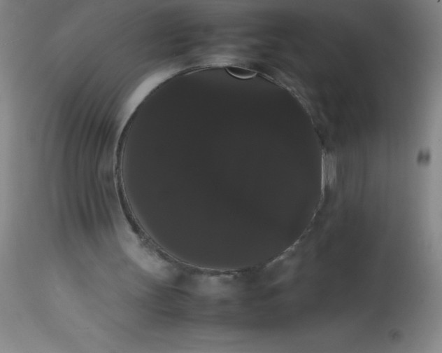 X0000113850147200910151220