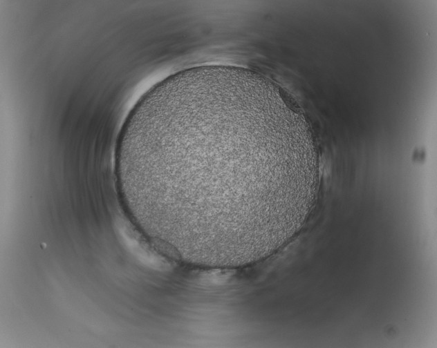 X0000113850148200910151220