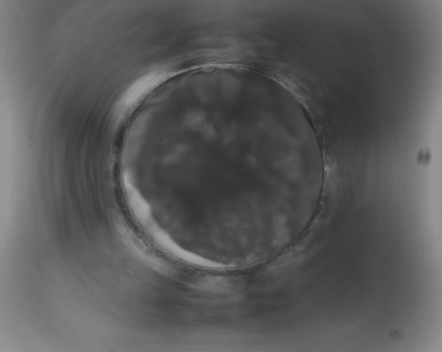 X0000113850149200910151220