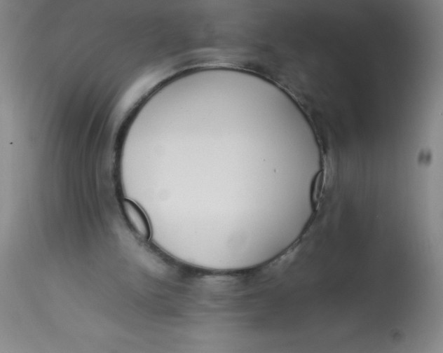 X0000113850150200910151220