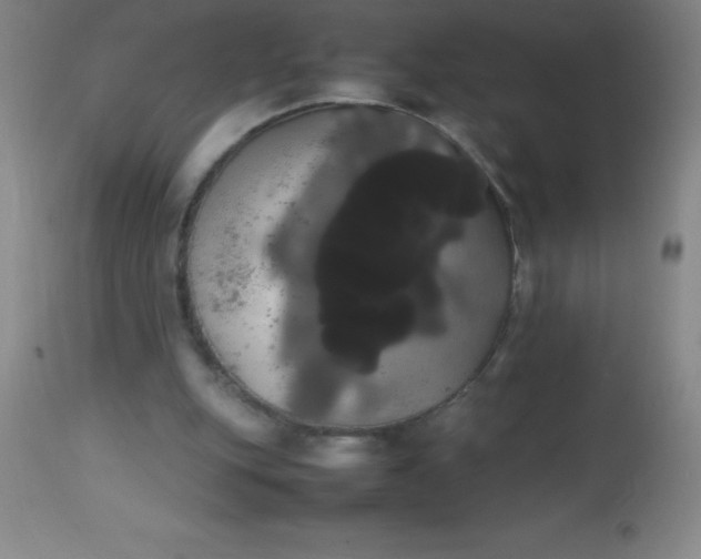 X0000113850151200910151220