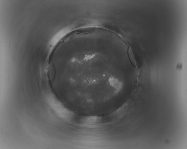 X0000113850152200910151220