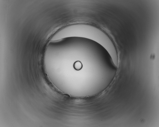 X0000113850154200910151220