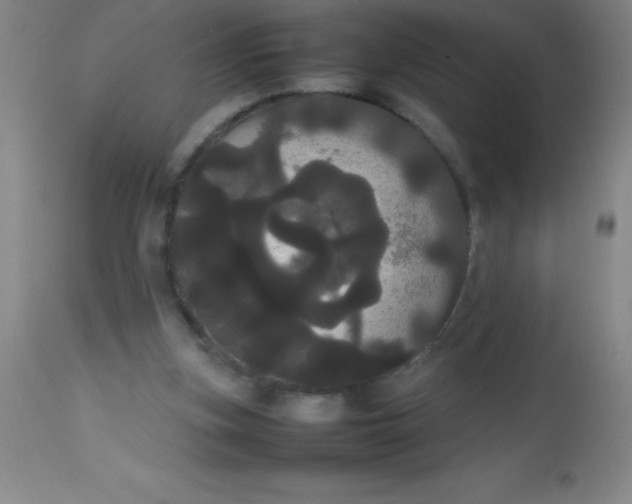 X0000113850155200910151220