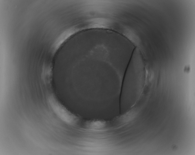 X0000113850156200910151220