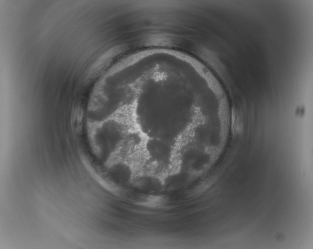 X0000113850157200910151220