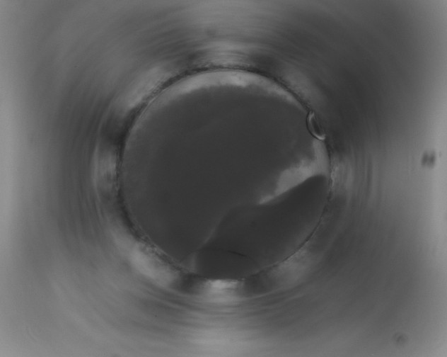 X0000113850158200910151220