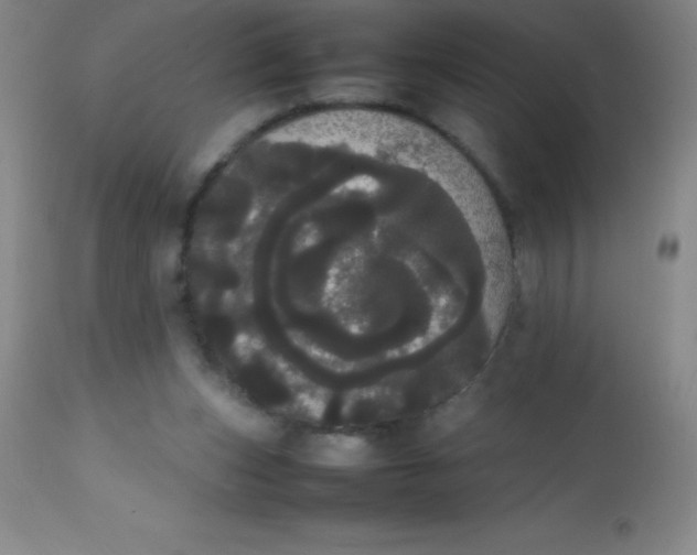 X0000113850159200910151220